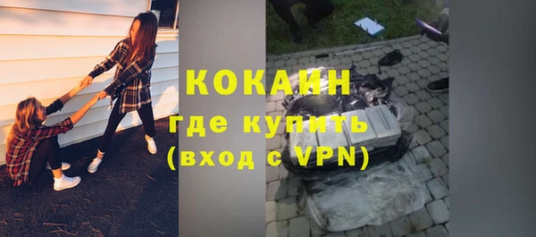 прущая мука Дмитриев