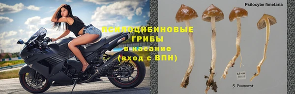 а пвп мука Дмитров