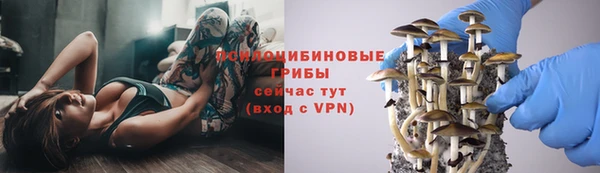 МДПВ Дмитровск