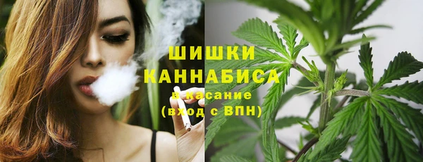 МДПВ Дмитровск