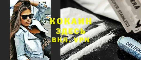 винт Гусев